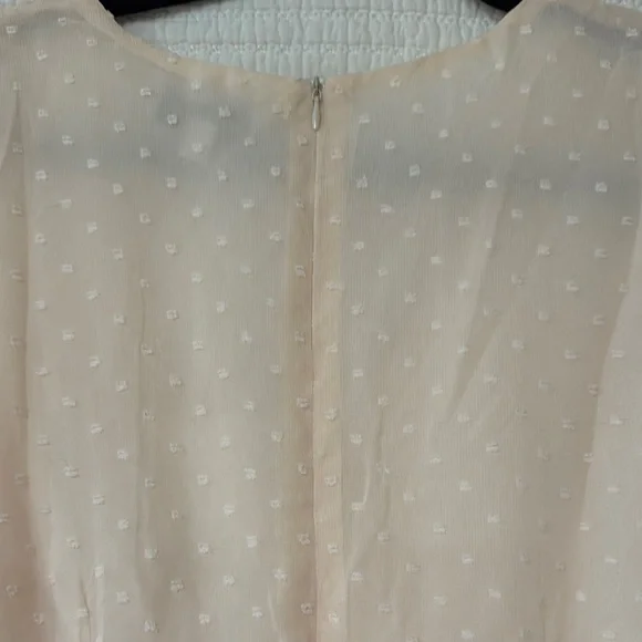 ! NWT DAVI & DANI Cream Sheer Polka Dot Long Sleeve V-Neck Dress ! - Picture 5 of 5